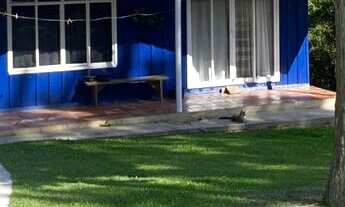 Imagem: Chácara à venda no bairro Lagoa dos Pretos