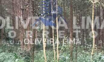 Imagem 4: Terreno à venda no bairro TAQUARA LISA - Agudos do Sul/PR