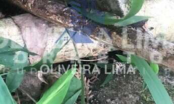 Imagem 5: Terreno à venda no bairro TAQUARA LISA - Agudos do Sul/PR