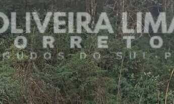 Imagem 3: Terreno à venda no bairro Centro - Piên/PR