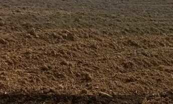 Imagem: Terreno à venda no bairro Centro - Piên/PR