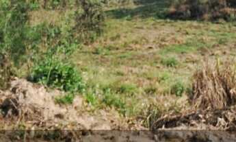 Imagem: Terreno à venda no bairro Centro - Agudos