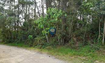 Imagem 5: Lote 1.550,32 m² próximo da Est do Capuava-EMBU DAS ARTES SP