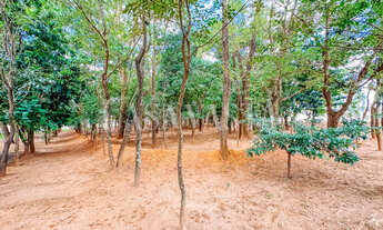 Imagem 7: Terreno de 300 m² no Condomínio Mansour