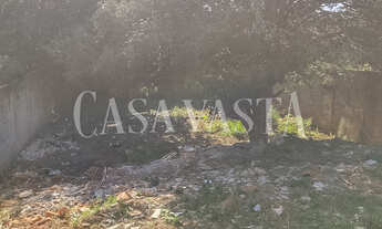 Imagem 3: Terreno no bairro Novo Paraíso