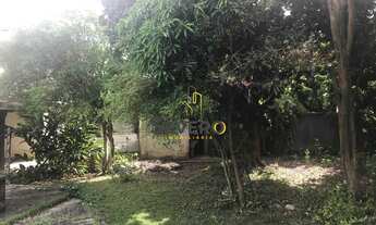 Imagem 4: Ótima Chácara em São Gonçalo