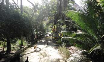 Imagem 4: Sítio à venda no bairro São José (Cabuçu) - Itaboraí/RJ