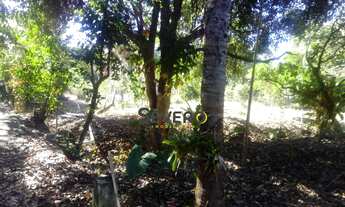 Imagem 3: Sítio à venda no bairro São José (Cabuçu) - Itaboraí/RJ