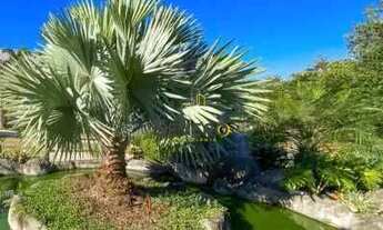 Imagem 3: Sitio, 6000m² 5 quartos e suítes em são José do embasai