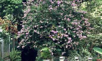 Imagem 5: Sítio à venda no bairro Vila Progresso - Niterói/RJ