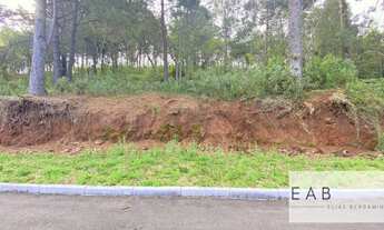 Imagem 5: Terreno em novo Loteamento em Gramado
