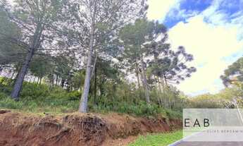 Imagem 6: Terreno em novo Loteamento em Gramado