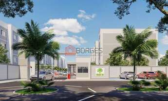 Imagem 2: Maior Lançamento do Ano