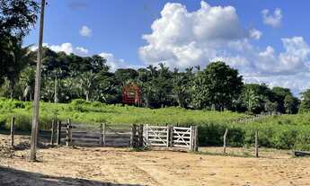 Imagem: Fazenda a venda a 80 km de imperatriz