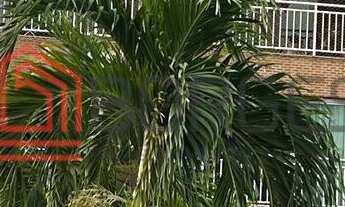 Imagem: Apartamento Alto Padrão - NOVA IMPERATRIZ