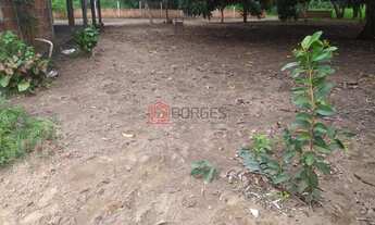 Imagem 3: CHÁCARA/SÍTIO NA BEIRA DO RIO TOCANTINS