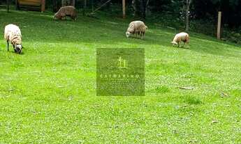 Imagem 5: Chácara com 21.000m²