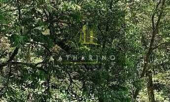 Imagem 3: Chácara com 21.000m²