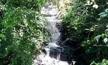 Imagem 7: Chácara com 21.000m²