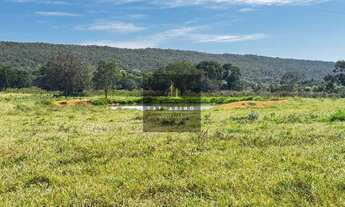 Imagem: Fazenda Pecuária Cáceres/MT