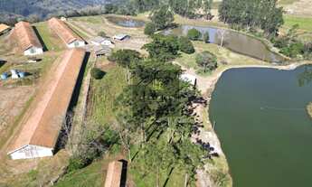 Imagem 2: DISPONÍVEL PARA VISITA