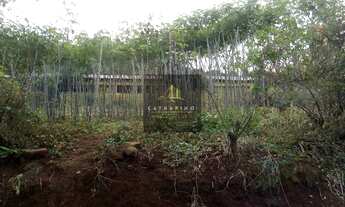 Imagem 7: DISPONÍVEL PARA VISITAS