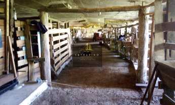 Imagem 6: DISPONÍVEL PARA VISITAS