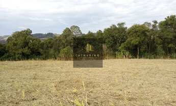 Imagem: DISPONÍVEL PARA VISITAS