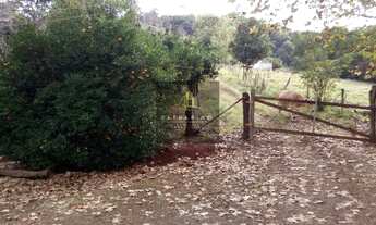 Imagem 5: DISPONÍVEL PARA VISITAS