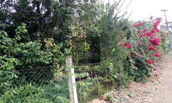 Imagem 4: DISPONÍVEL PARA VISITAS