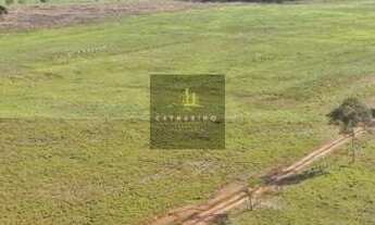 Imagem 6: Fazenda em Jangada/MT