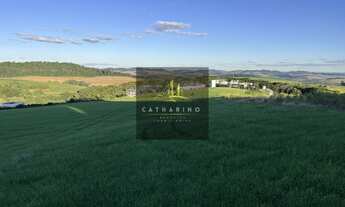 Imagem: ÁREA INDUSTRIAL, 80000M² de Área Construída