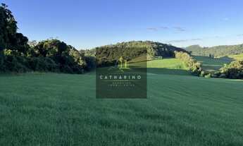 Imagem 2: ÁREA INDUSTRIAL, 80000M² de Área Construída, 80000M² de Área Total