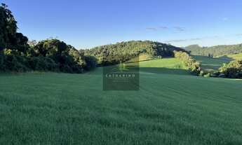 Imagem 2: ÁREA INDUSTRIAL, 80000M² de Área Construída, 80000M² de Área Total