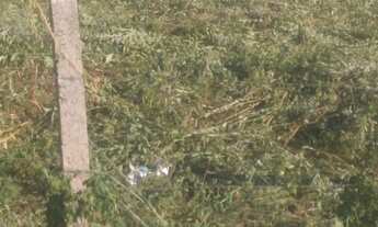 Imagem 2: Terreno Lote para Venda em Jardim Mezzomo Guatambú-SC