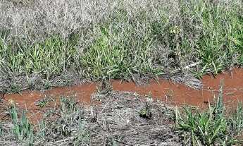 Imagem 3: Terreno Lote para Venda em Efapi Chapecó-SC