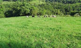 Imagem 4: Sítio em Alto da serra