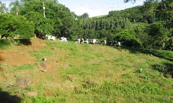 Imagem 7: Sítio em Alto da serra