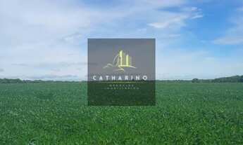 Imagem: Fazenda Mista em Nobres/MT