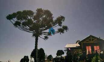 Imagem 5: Casa à venda no bairro Bairro Rural - Rancho Queimado/SC