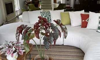 Imagem 4: Casa à venda com 435m², 3 quartos e 3 vagas