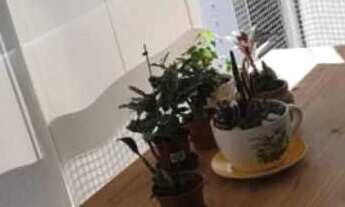 Imagem: Apartamento em Vila Andrade, São Paulo/SP