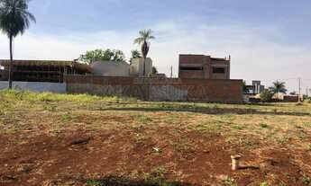 Imagem: Terreno - Jardim das Palmeiras