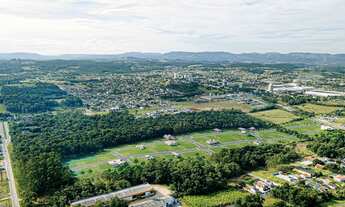 Imagem 5: Terreno à venda em Loteamento - Cocal do Sul/SC