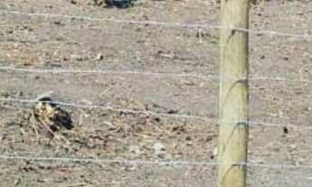 Imagem 4: Terreno para Venda em Sao Jose Do Imbassai Maricá-RJ