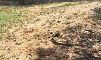 Imagem 2: Terreno para Venda em Jacaroá Maricá-RJ