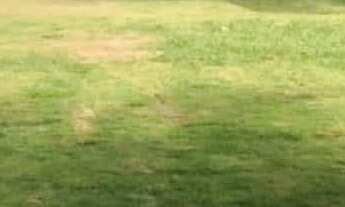 Imagem 4: Casa Linear para Venda em Centro Saquarema-RJ