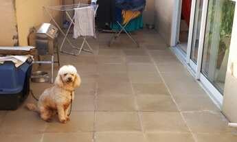 Imagem 6: Apartamento Cobertura para Venda em Alcântara São Gonçalo-RJ