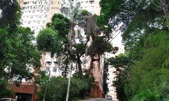 Imagem: Apartamento Padrão para Venda em Santa