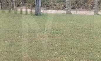 Imagem 2: Terreno à venda, no bairro Arroio proximo ao Campo Duda, Imbituba, SC